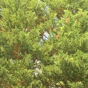 Meet your Posher, Kaiden